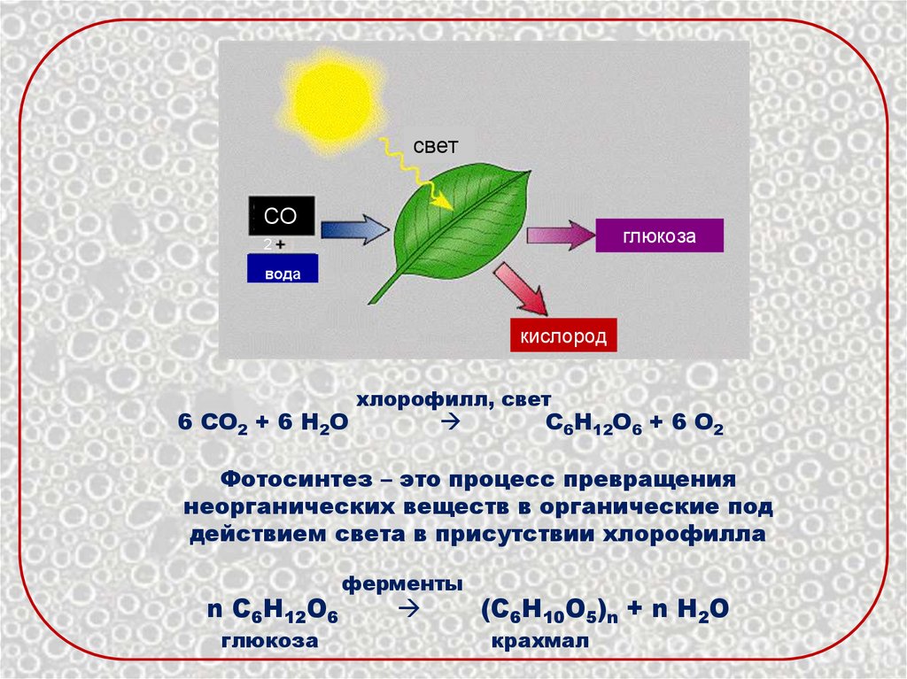 Как называется данный процесс углекислый газ вода. Образование Глюкозы фотосинтез. Образование Глюкозы в процессе фотосинтеза. Фотосинтез свет хлорофилл световая фаза. Образование Глюкозы при фотосинтезе.
