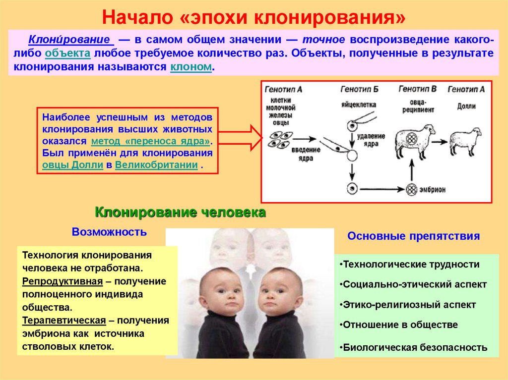Признаки клона. Клонирование человека биологические. Клонирование метод в генетике. Репродуктивное клонирование человека.