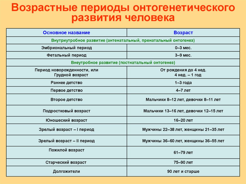 Возрастная карта человека