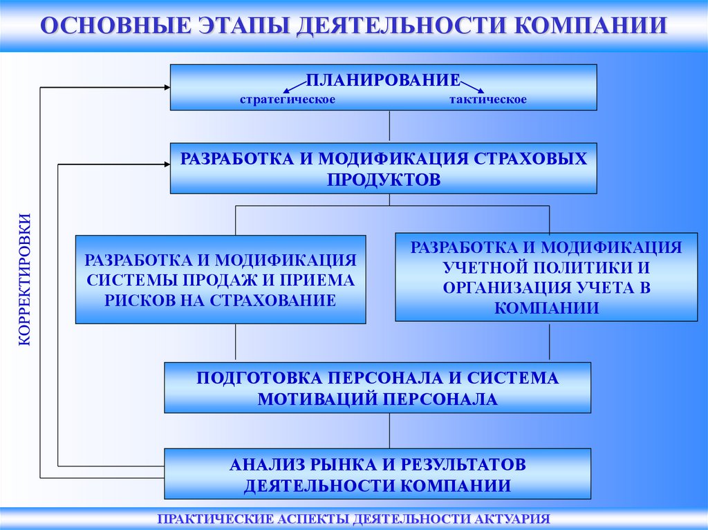 Этапы функционирования организации