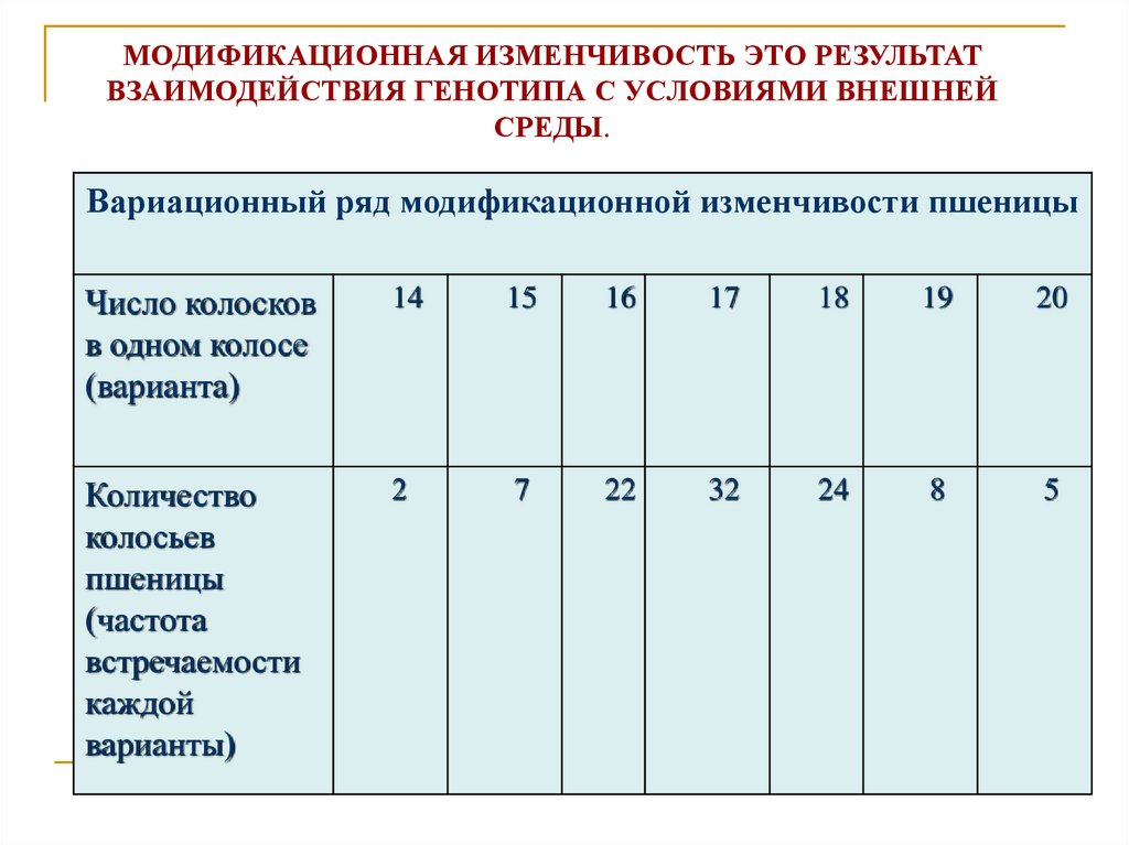 Презентация изменчивость модификационная изменчивость 10 класс