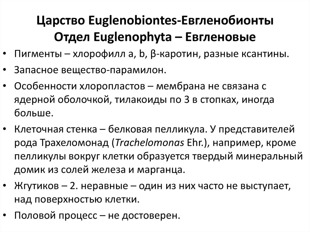 Царство Euglenobiontes-Евгленобионты Отдел Euglenophyta – Евгленовые