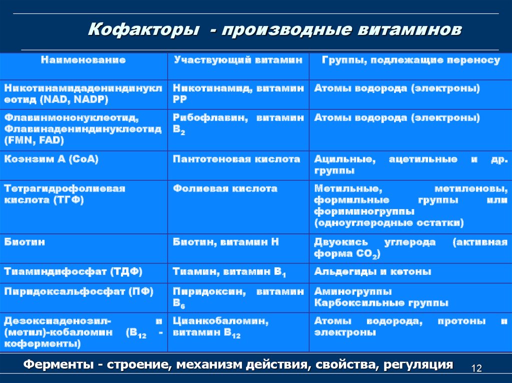 Производные группы. Механизм действия витамина витамина с. Кофакторы производные витаминов. Коферменты витаминов. Кофакторы ферментов.