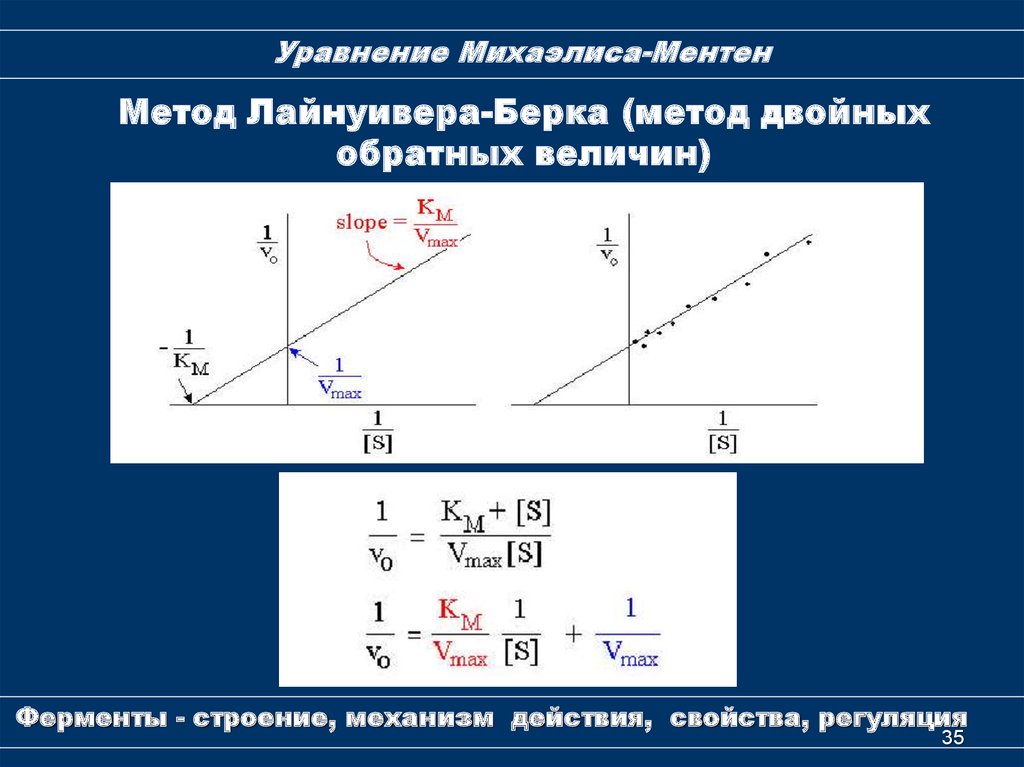 Схема михаэлиса ментен