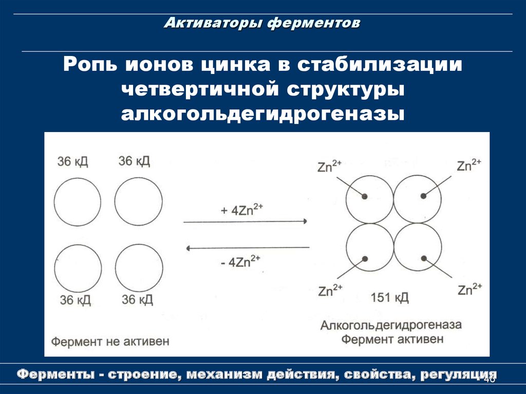 Ферменты в медицине биохимия презентация