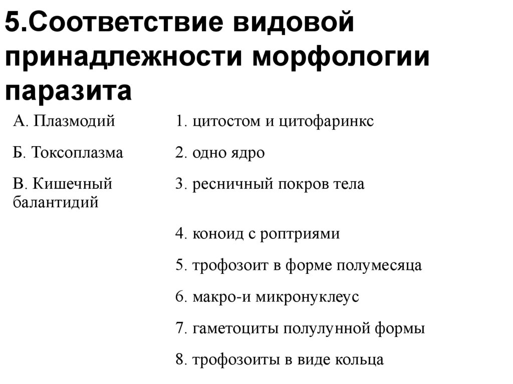 Видовая принадлежность. Протозоология презентация. Видовая принадлежность классификация. Протозоология морфология. Видовая принадлежность животного это.