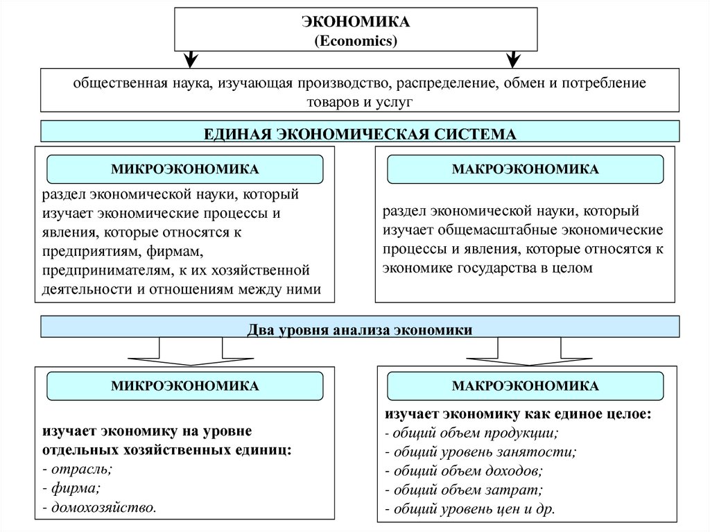 Экономика изучает. Экономика как наука. Виды экономики как науки. Экономика как. Что изучает экономика как наука.