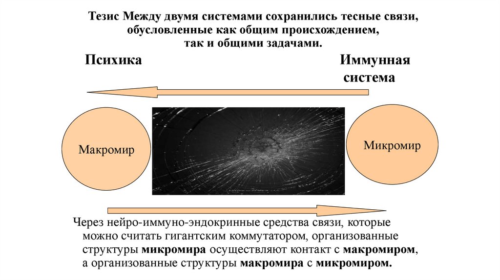 Сохраняющаяся система. Эффект наблюдателя в Макромире.