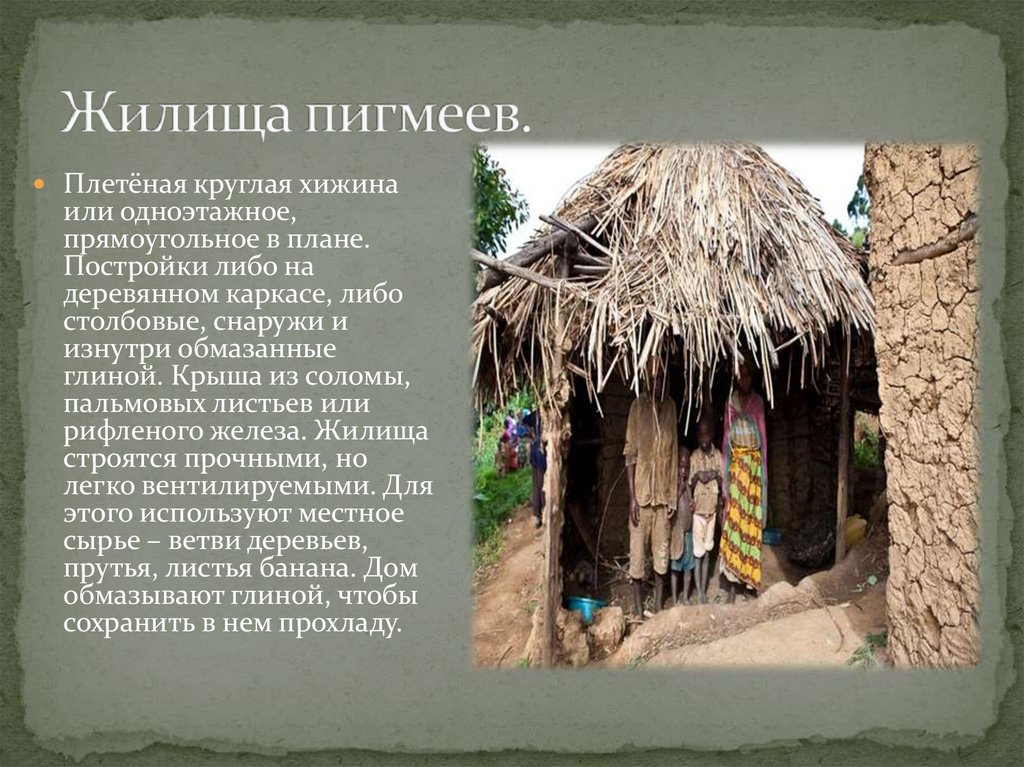 Жилище 7. Жилище пигмеев. Хижина пигмеев. Пигмеи народ Африки илища народные. Жилище пигмеев в Африке.