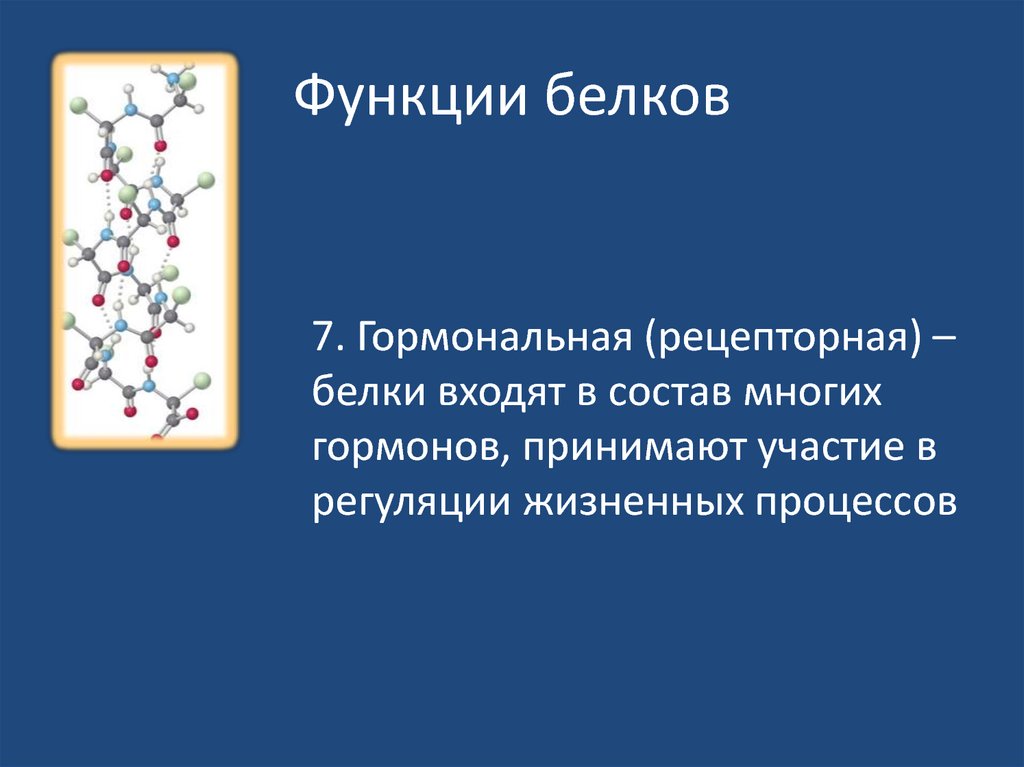 Пояснить главную функцию белков. Гормональная функция белков. Функции белков гормонов. Гормональная функция белка. Гормональная функция белка пример.