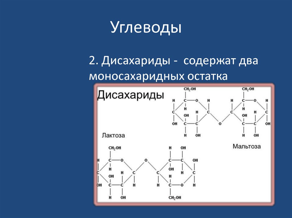 Строение углеводов входящих в состав клетки