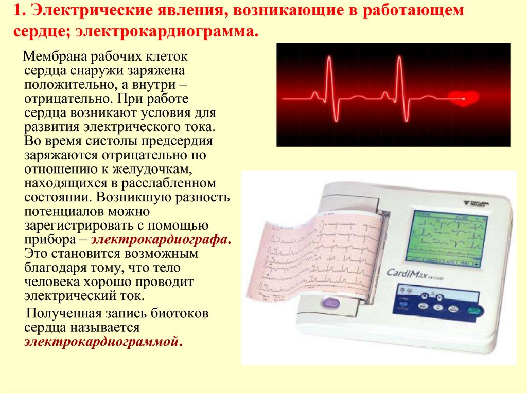 Физика работы сердца. Электрические явления в сердце электрокардиография. Электрические явления в сердечной мышце. Электрические явления в сердце ЭКГ. Электрические явления сердца кратко.