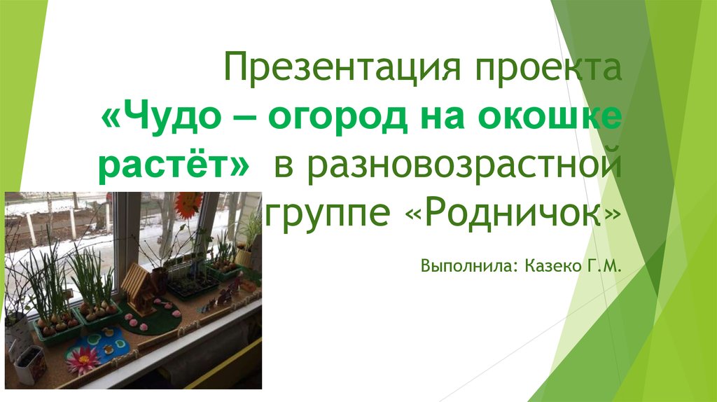 Проект чудо огород. Презентация огород на окошке. Чудо огород. Чудо огород надпись. Что за чудо огород.