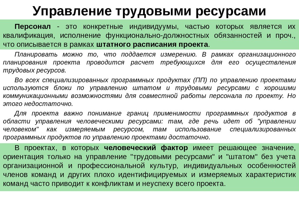 Управление трудовыми ресурсами в проекте курсовая