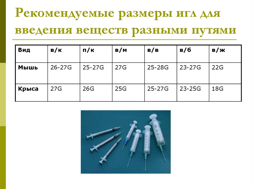 Типы игл шприцов