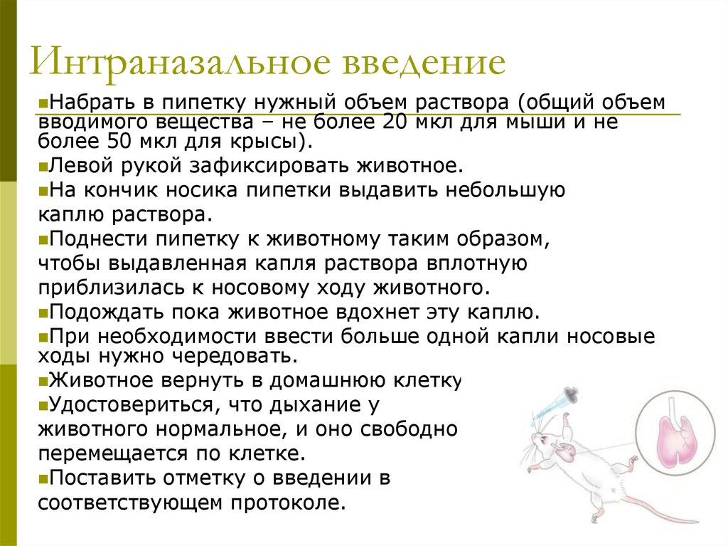 Интраназальное введение раствора. Интраназальное Введение это. Интраназальный способ введения вакцины. Введение лекарственных препаратов интраназально. Интраназальный путь введения лекарств.