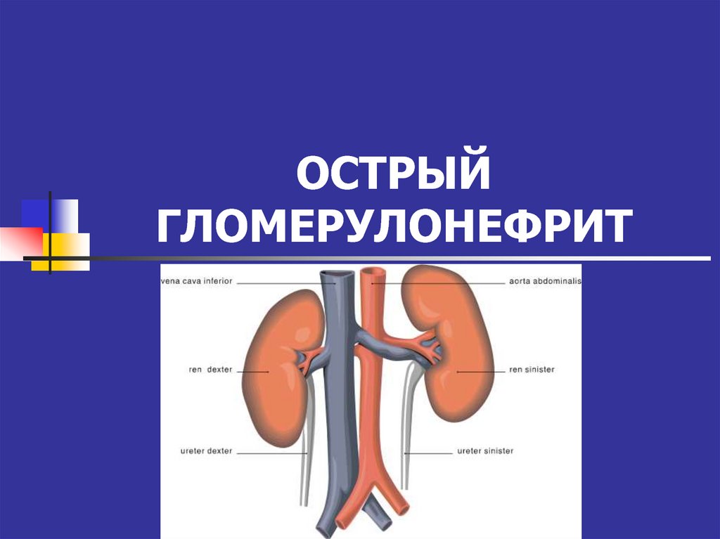 Гломерулонефрит казакша презентация