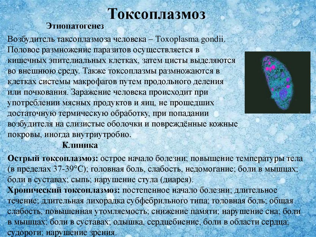 Клиническая картина токсоплазмоза кратко