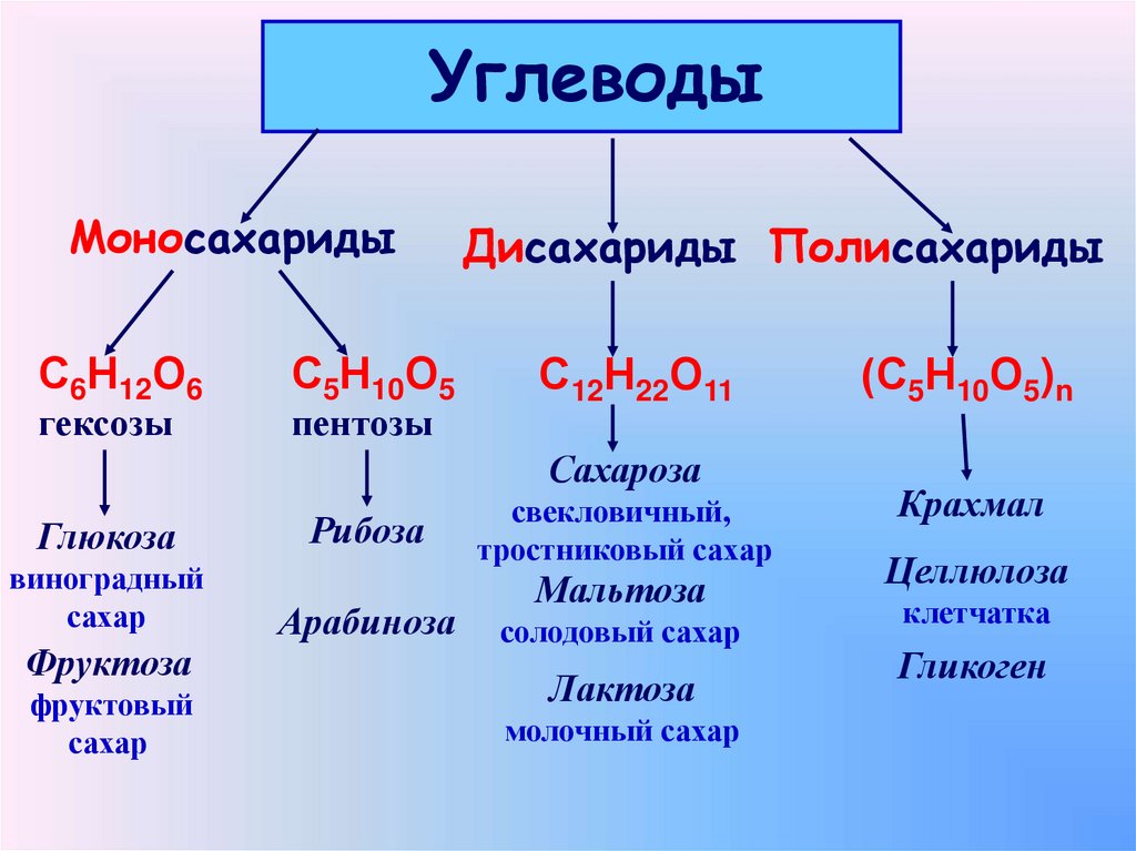Глюкоза соединение углерода. Формула моносахарида олигосахарида полисахарида. Моносахариды, дисахариды, полисахариды (примеры и функции). Таблица моносахариды дисахариды полисахариды 10 класс. 9 Класс биология углеводы моносахариды.