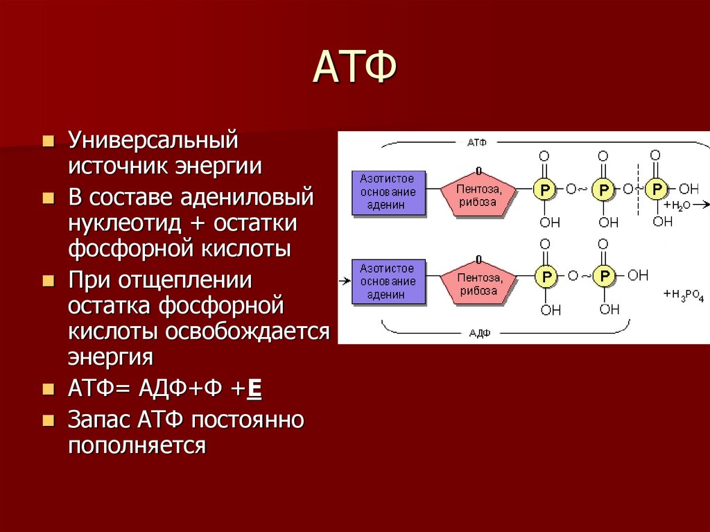 Строение атф синтеза. АТФ универсальный источник энергии. Аденозинтрифосфат энергия АТФ АДФ. Химическое строение АТФ. Химическая структура АТФ.