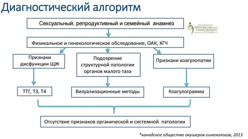 Алгоритм диагностики. Диагностический алгоритм. Диагностический алгоритм обследования. Диагностический алгоритм для работы в зоне бедствия.. Алгоритм диагностики семьи.