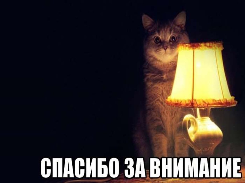 Настало время видео. Настало время ламповых историй. Спасибо за внимание с лампочкой. Спасибо за внимание котик. Лампа кот.
