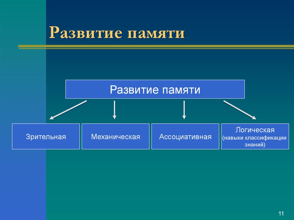 Интенсивная система