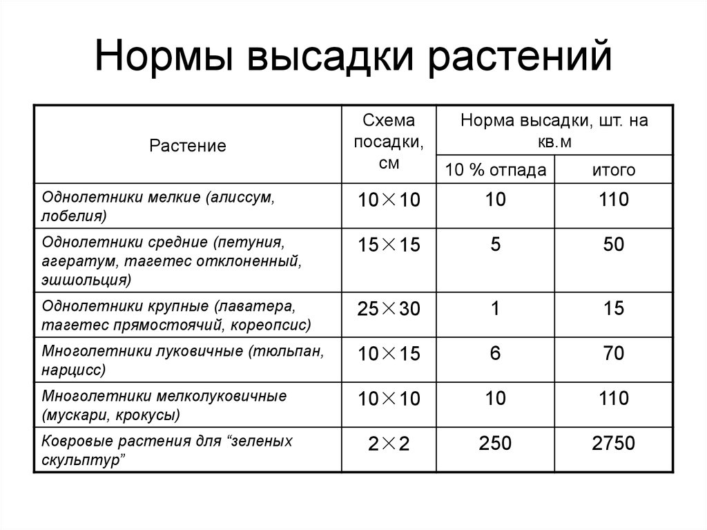 Плотность цветов. Норма посадки однолетних цветов на 1 м2. Нормы посадки петунии на м2. Нормы посадки цветов на 1 кв.м таблица. Нормы высадки растений на квадратный метр.