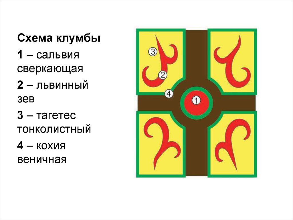 Центры трех клумб круглой формы расположены на одной прямой как показано на чертеже