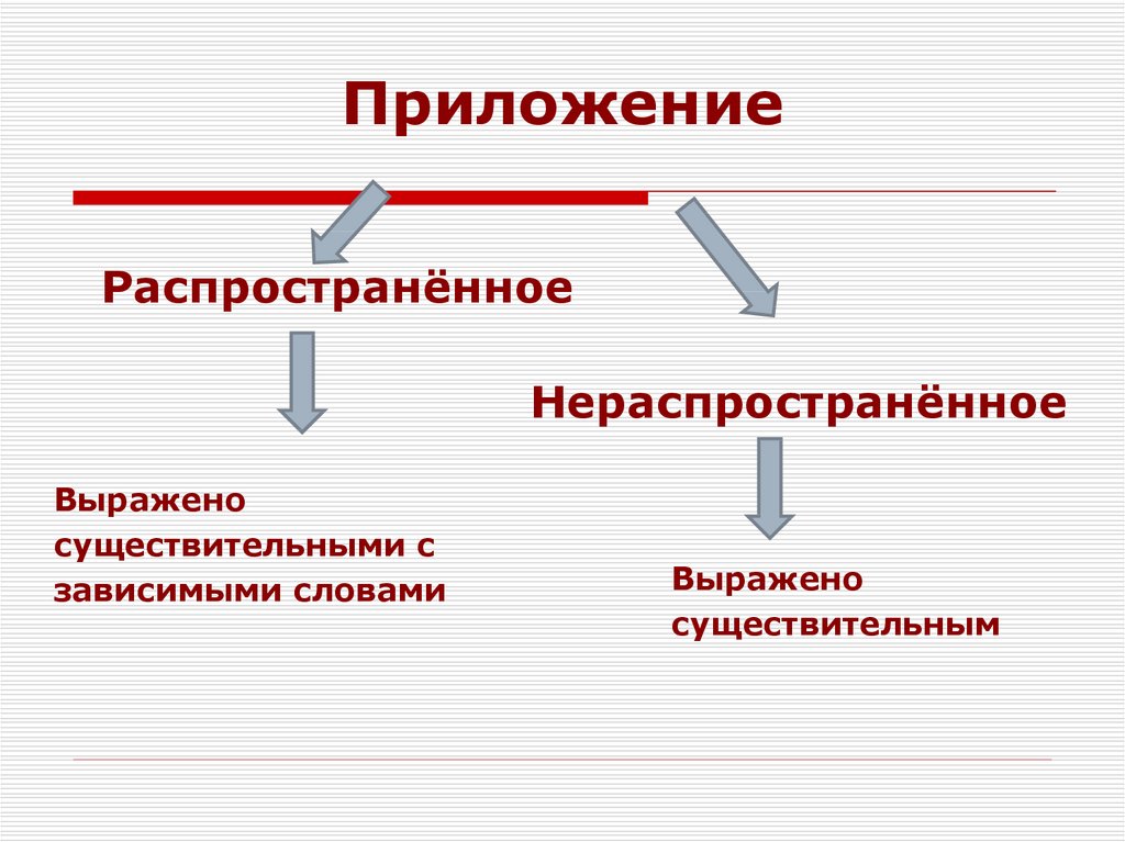 Предложение с нераспространенным приложением