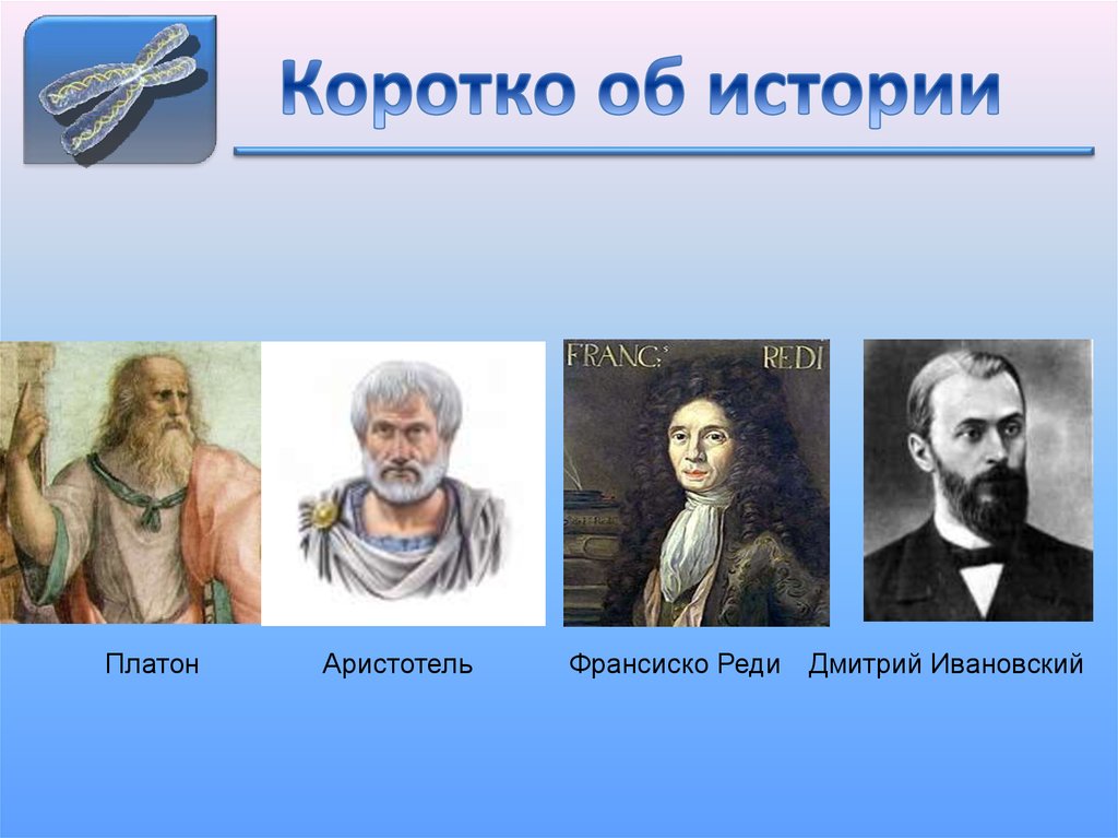 Коротко об истории