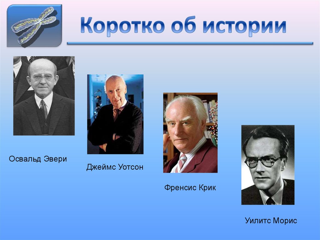 Коротко об истории