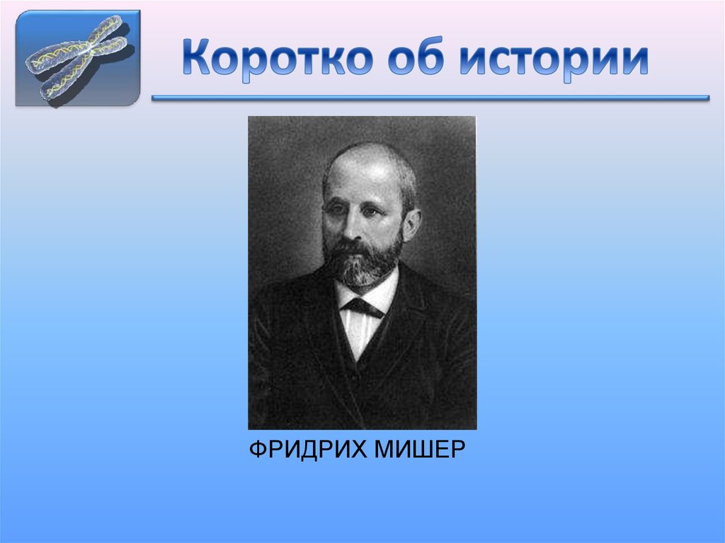 Коротко об истории