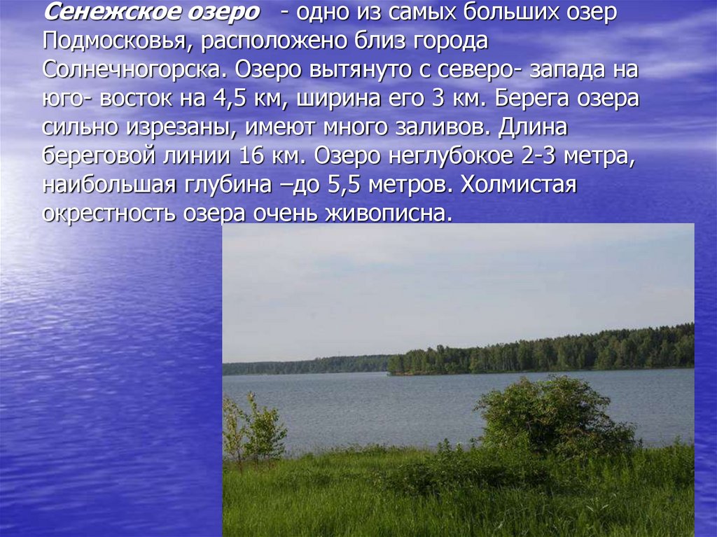 Окружающий мир озеро. Озера Подмосковья названия. Озёра Московской области названия. Самые крупные озера Московской области. Озёра Подмосковья список.