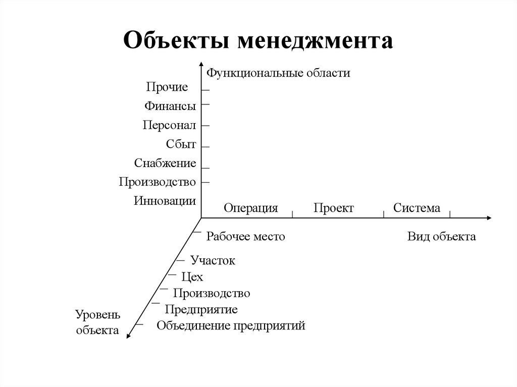 Объект менеджмента