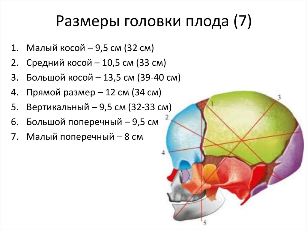 Размеры головки таза. Размеры головки плода. Малый косой размер головки плода. Малый поперечный размер головки плода. Размеры головки доношенного плода.