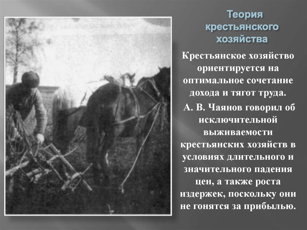 Индивидуального крестьянского. Теория трудового крестьянского хозяйства. Теория крестьянского хозяйства и кооперации а.в.Чаянова.. Кооперации крестьян. Крестьянин теоретик.