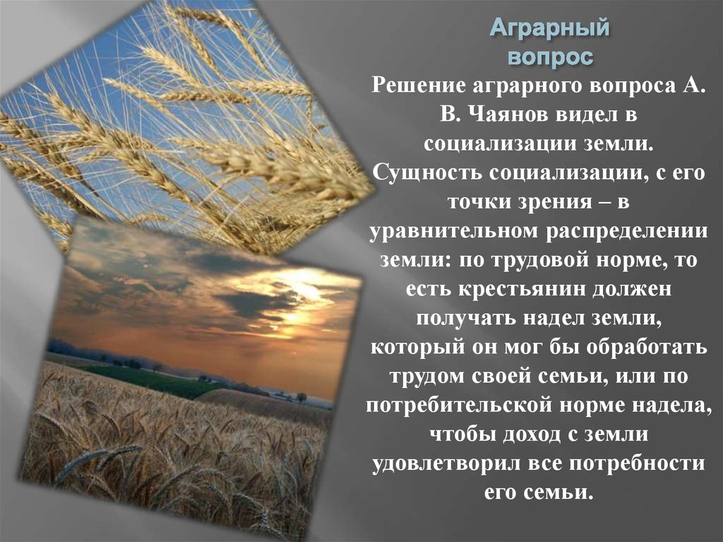 Аграрный вопрос