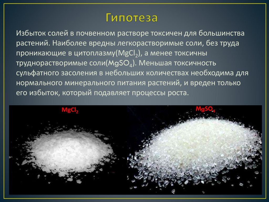Влияние соли на мышей