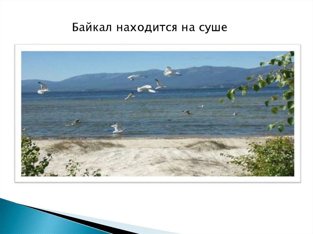 Байкал море мертвых. Байкал это озеро или море. Мёртвое море или Байкал. Почему Байкал не море. Какого моря не существует.