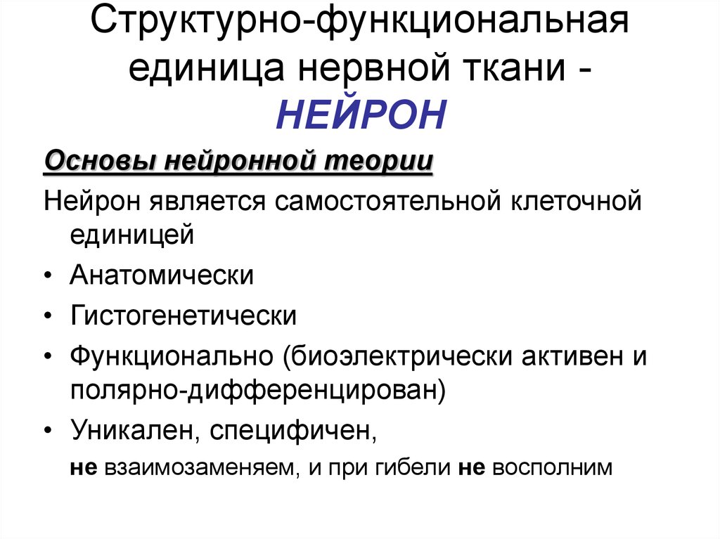 Что является структурно функциональной единицей нервной системы