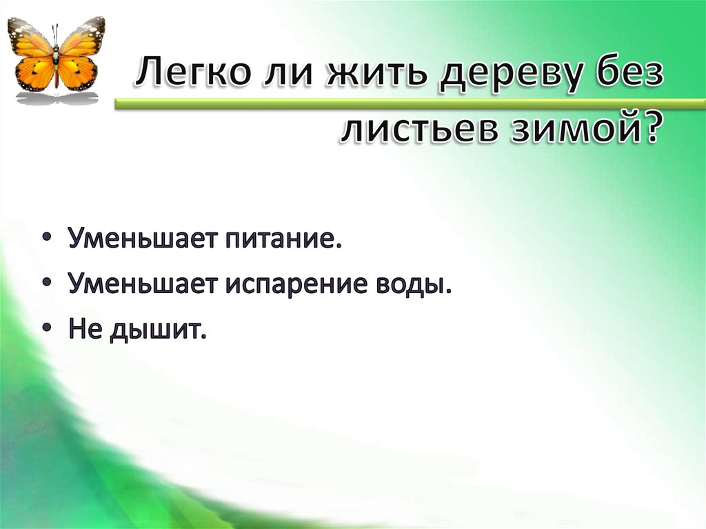 Легко ли жить дереву без листьев зимой?