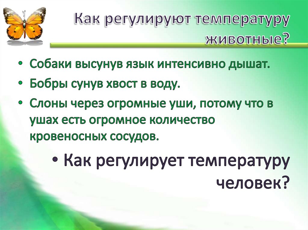 Как регулируют температуру животные?