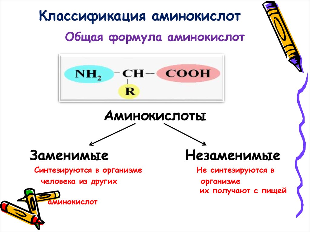Классификация аминокислот