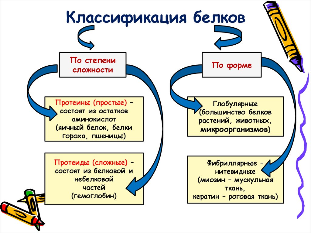 Классификация белков презентация