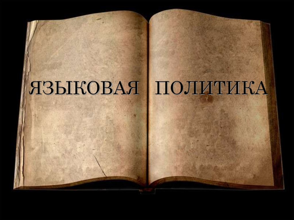 Языковая политика - online presentation
