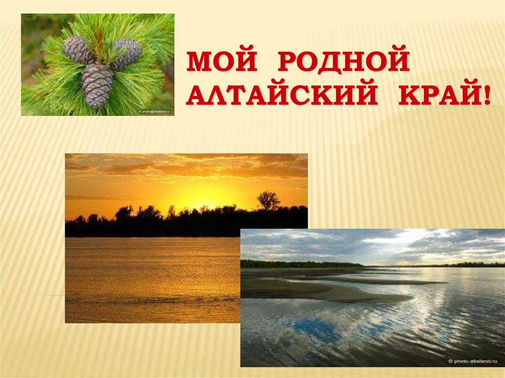 Проект мой родной край