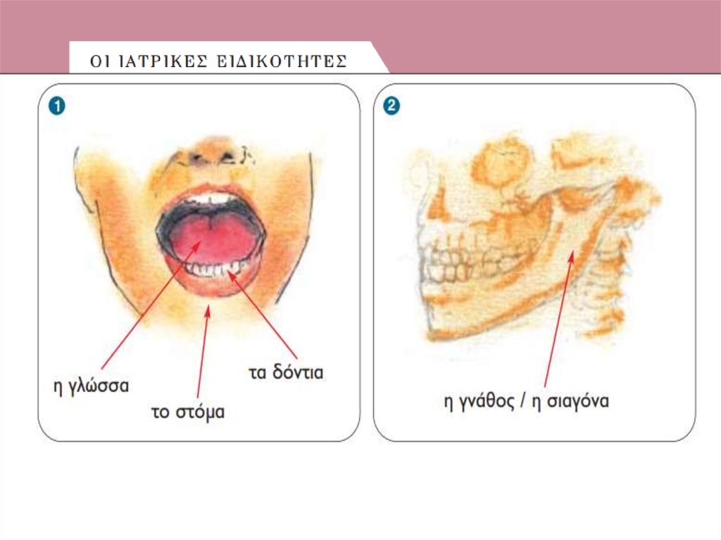 Διαφάνεια 42