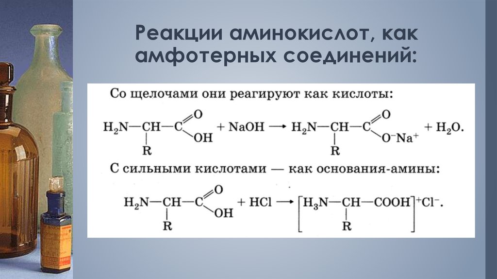 Глицин реагирует с гидроксидом натрия. Химические свойства аминокислоты аспарагиновой кислоты. Амфотерность аминокислоты Серина. Аспарагиновая кислота с соляной кислотой. Реакция солей аминокислот с кислотами.