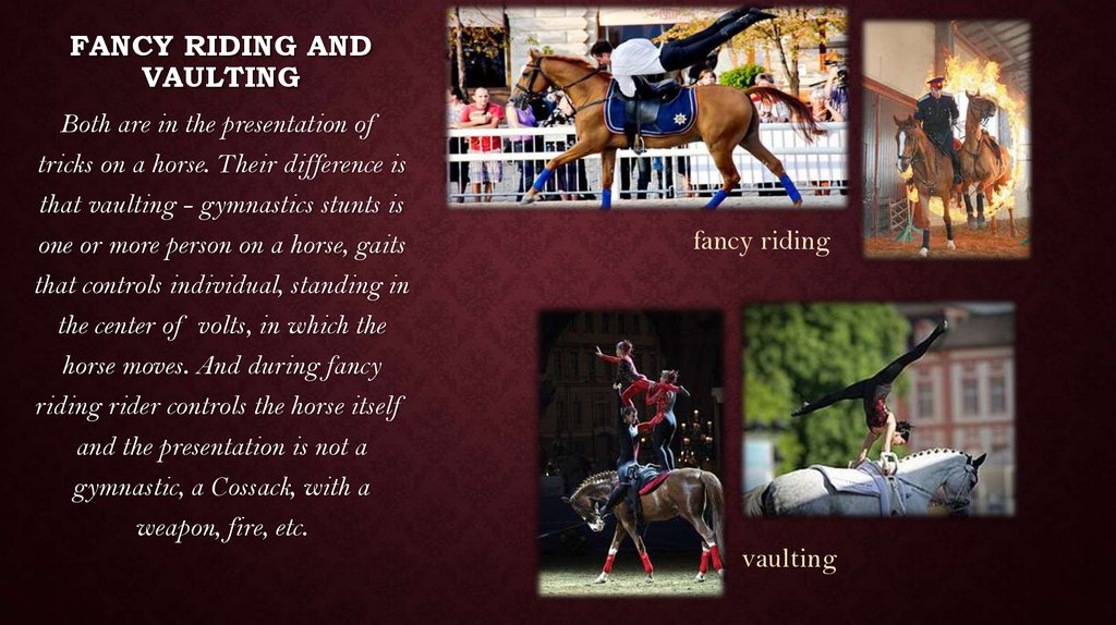 fancy riding and vaulting